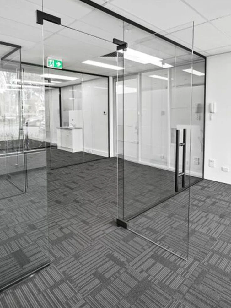 Frameless office doors and partitions